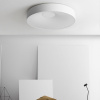 Потолочный светильник ImperiumLoft Ecla 189550-26