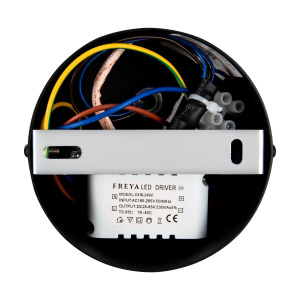 Настенный светильник Freya Mystery FR6063WL-L12B