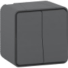 Выключатель 2-клавишный Schneider Electric MUR40914