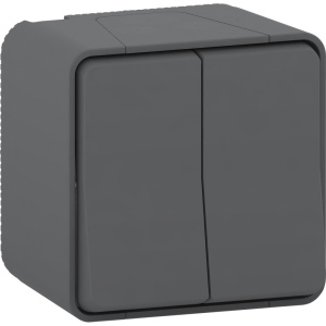 Выключатель 2-клавишный Schneider Electric MUR40914