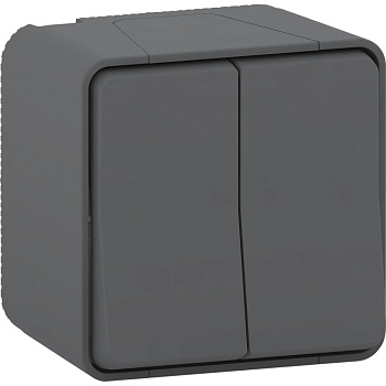 Выключатель 2-клавишный Schneider Electric MUR40914
