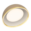 Потолочный светильник Citilux Floom CL736152