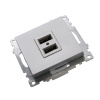Розетка USB 2-местная Stekker Катрин 39588