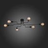 Потолочная люстра ST Luce Ano SL419.442.06