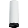 Накладной светильник Lightstar Rullo R4863437 (214486+203437)