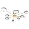 Потолочная люстра Loft IT Sunrise 10316/8 Grey