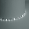 Cветодиодная лента Feron LS603 41446