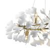 Подвесная люстра Delight Collection 10881P/R800 gold/white