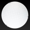 Настенно-потолочный светодиодный светильник Toplight Christina TL9521Y-00WH