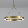 Подвесная люстра Delight Collection P0516-600A titanium gold