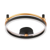 Потолочный светильник Crystal Lux FERNANDO PL48W LED BLACK/GOLD