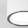 Уличный потолочный светильник Elektrostandard Light 4690389180828