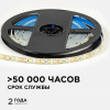 Светодиодная влагозащищенная лента OGM 12В 2835 9,6Вт/м 6500К 840Лм/м 5м IP65 LSE-261