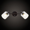 Спот Citilux Артик CL510525