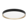 Потолочный светильник Citilux Boss CL751451G