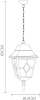 Уличный подвесной светильник Arte Lamp Berlin A1015SO-1BN