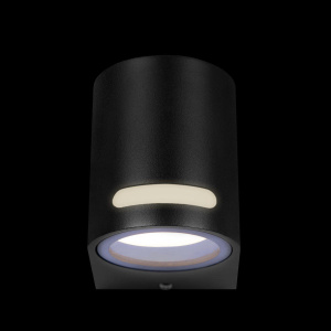Уличный настенный светильник Loft IT Stema 100012/A