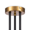 Потолочная люстра Freya Terra FR5260PL-06BS