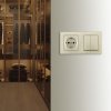 Выключатель двухклавишный с розеткой Arte Milano SET06-2-30-2-40-1 shampan