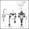Бра Lumion Classi Luina 8346/1W