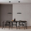 Подвесной светильник Loft IT Dime 10371P Black