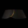 Потолочный светильник Loft IT Lane 10370 Black