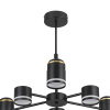 Люстра на штанге Lumion Virsava 8234/6C