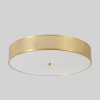 Потолочный светильник Crystal Lux BUTTON PL40W LED