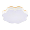 Потолочный светильник Loft IT Axel 10225/36 White