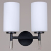 Бра Illumico IL2218-2WLS-24 HIGHBALL