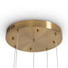 Подвесной светильник Freya Flower FR5579PL-L40BS