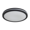 Потолочный светильник Freya Rua FR6160CL-L40B