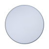 Потолочный светильник Loft IT AXEL 10001/36 Grey