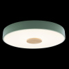 Потолочный светильник Loft IT AXEL 10003/24 Green