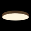 Потолочный светильник Loft IT Flims 10228/B