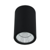 Уличный потолочный светильник Arte Lamp Torcular A1807PF-1BK