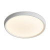 Потолочный светильник Freya Obelle FR6211CL-L24W