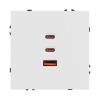 USB Розетка тип А+С+С софт-тач белый кварц Arlight SCT-MUACC-SFPL-FC-WH (65W, QC3) 061839(1)