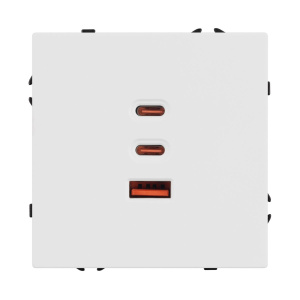 USB Розетка тип А+С+С софт-тач белый кварц Arlight SCT-MUACC-SFPL-FC-WH (65W, QC3) 061839(1)