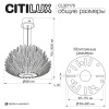 Подвесная люстра Citilux Deltoro CL327170