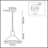 Подвесной светильник Lumion Suspentioni Eoliana 8352/1A