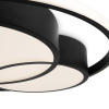 Потолочный светильник Freya Tucene FR10029CL-L70B