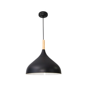 Подвесной светильник Arte Lamp Kayla A7101SP-1BK