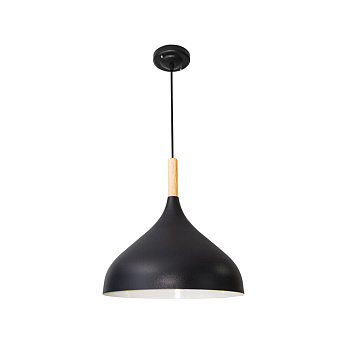 Подвесной светильник Arte Lamp Kayla A7101SP-1BK