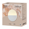 Настенный светильник Freya Market FR6199WL-L4W