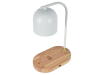 Настольная лампа Zortes DeskLight ZRS.1066.02