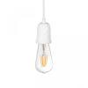 Подвесной светильник Loft IT Sherwood 10091