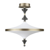 Потолочная люстра Odeon Light Ula L-vision 5404/43CL