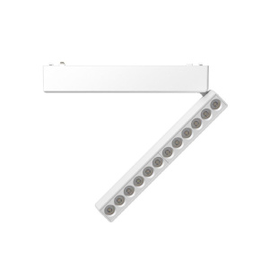 Трековый магнитный светильник Aployt Magnetic track 48 APL.0102.10.12