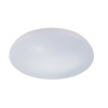 Потолочный светильник Escada 10213/SG LED